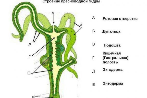 Kraken вход и ссылки