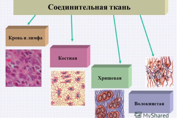 Kraken это современный маркетплейс