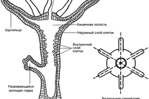 Браузер кракен